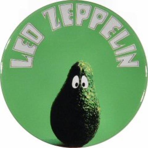 Led Zeppelin Pin