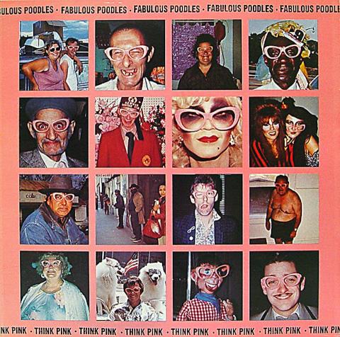 The Fabulous Poodles Vinyl 12"