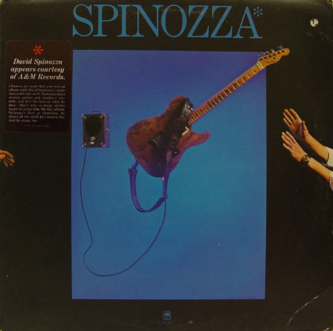 David Spinozza Vinyl 12"
